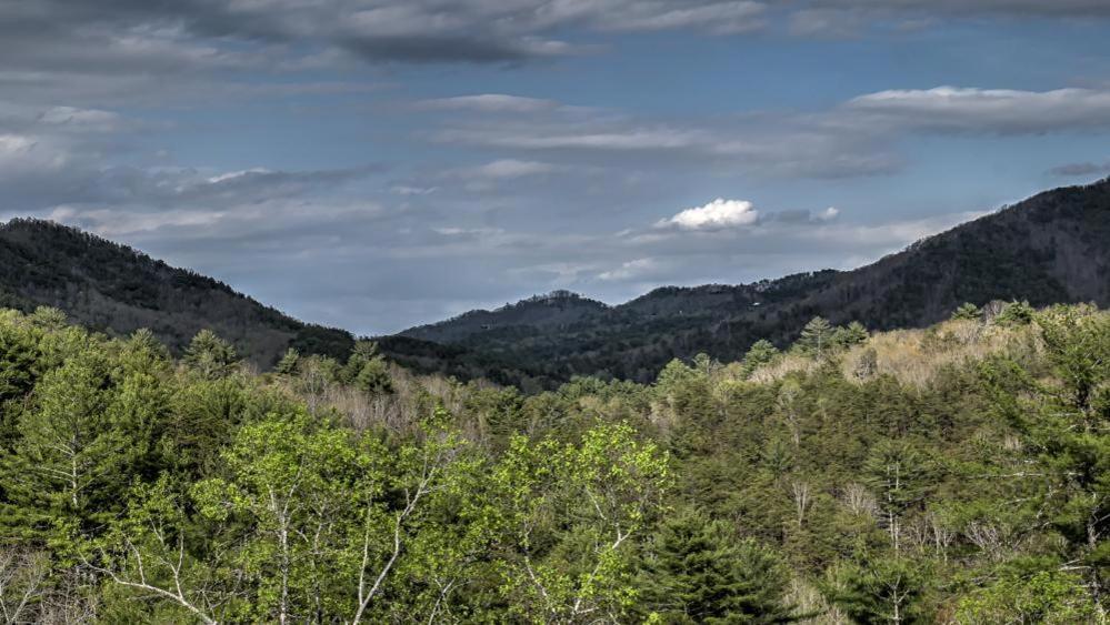 Honey Bear Lodge Блу-Ридж Экстерьер фото
